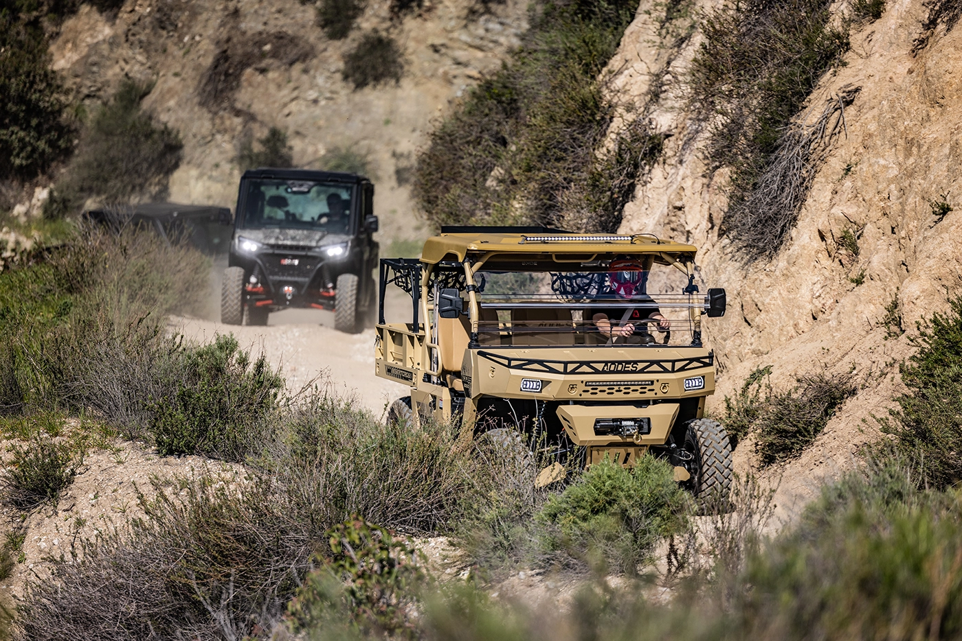 фото багги AODES DESERTCROSS 1000CC-3